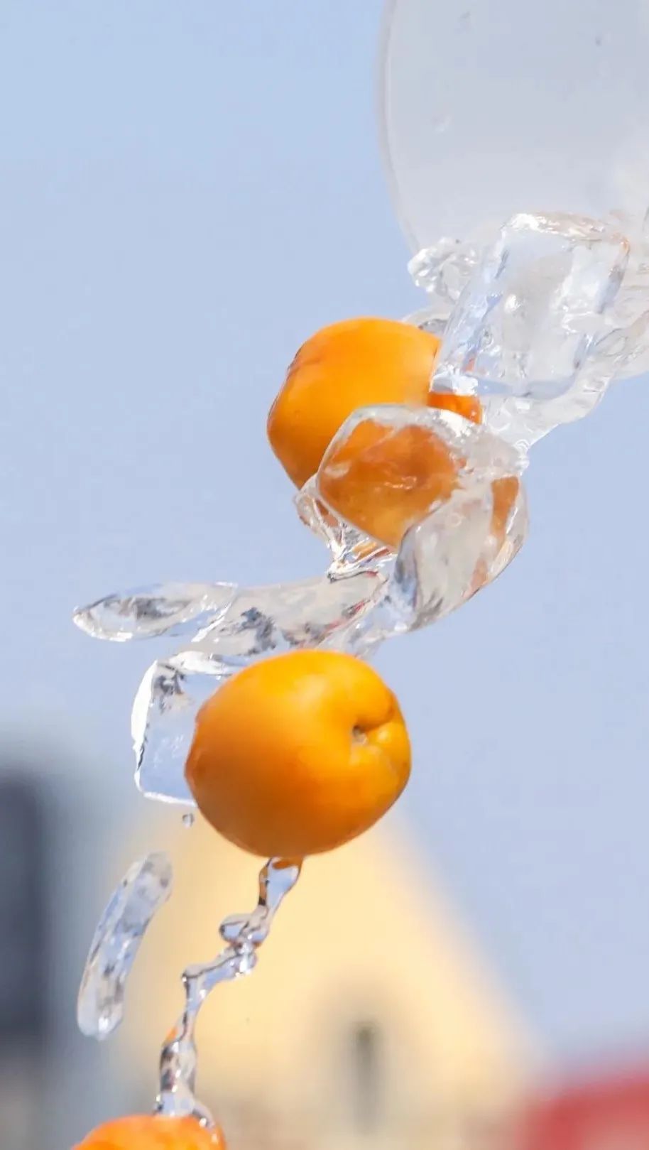 奈雪「霸气小确杏」回归！还有杏运上上签，今日开“撕”