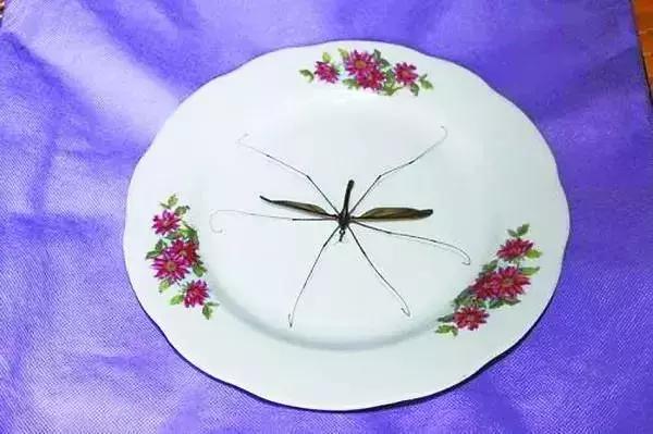 北方人到南方最能承受的温度,北方人到南方最怕冷吗