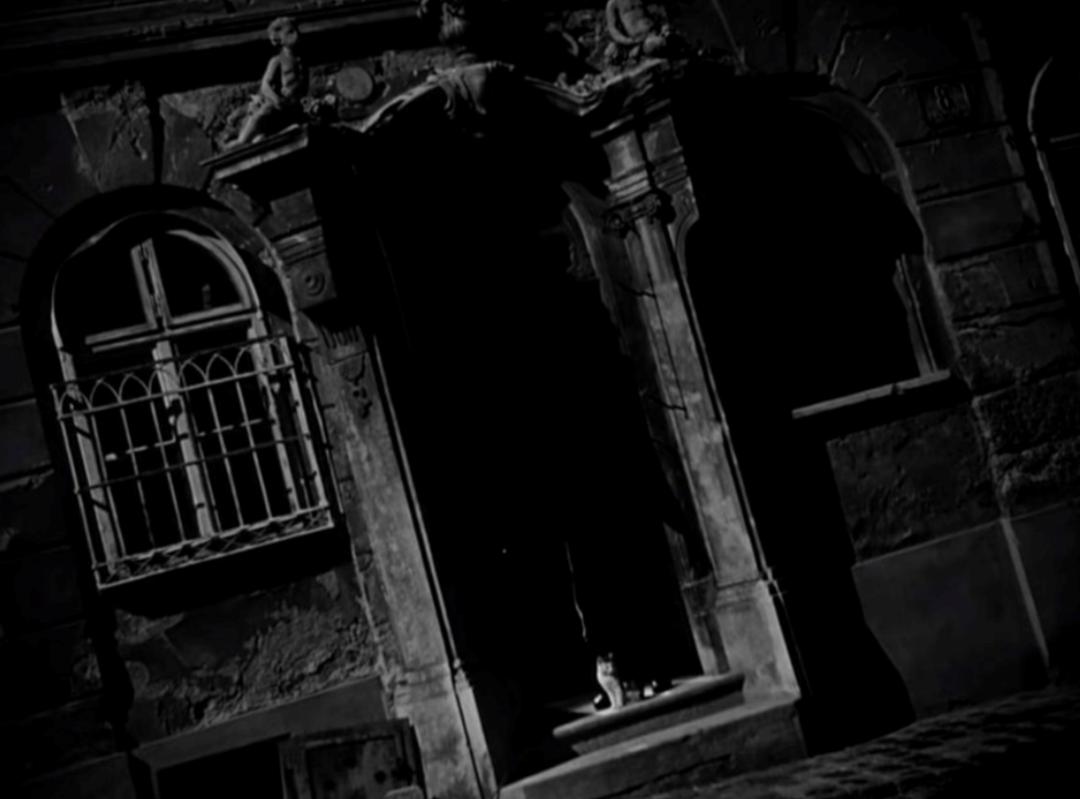 单杠上的公主和莫扎特咖啡馆的谋杀案