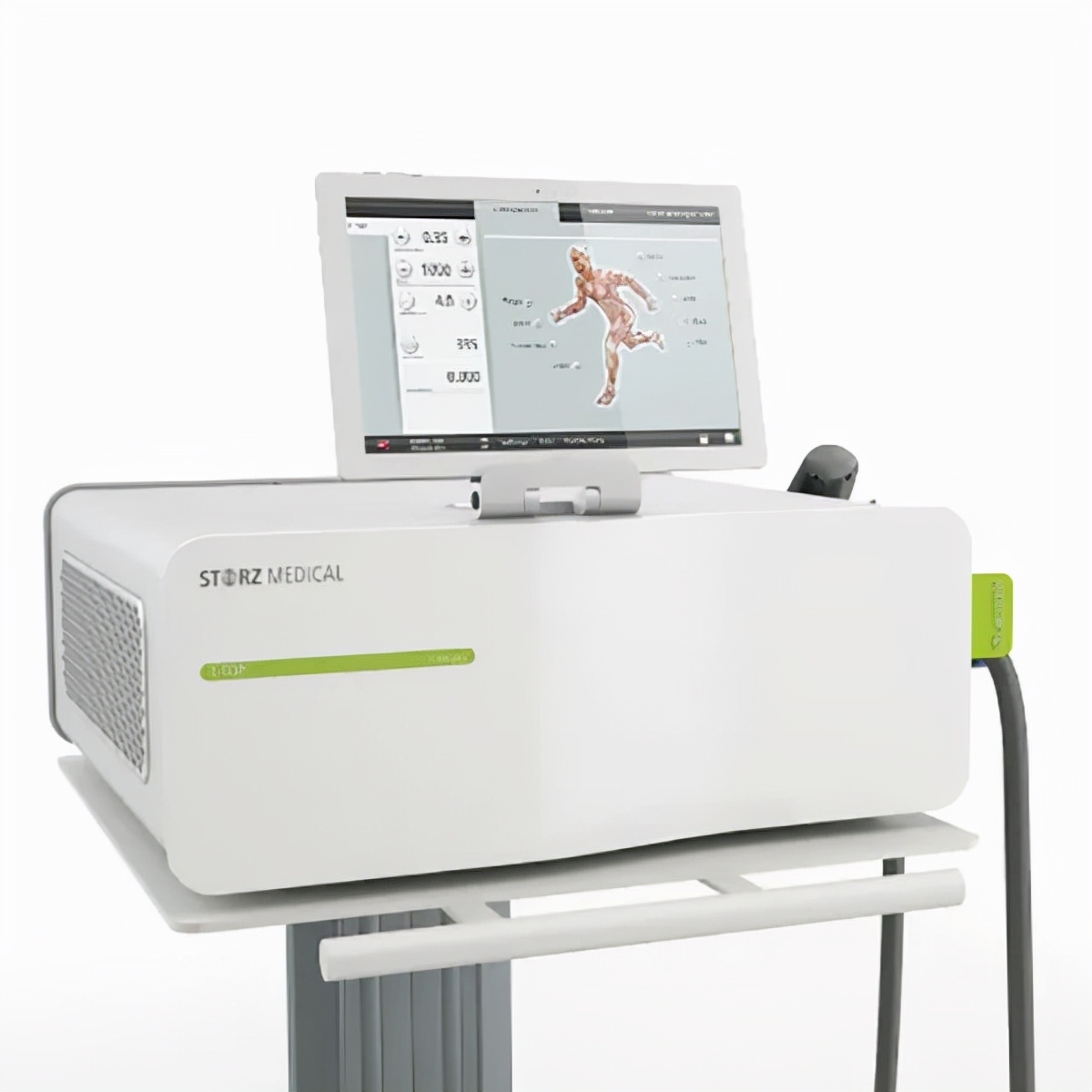 中国运动康复迎产业爆发,运动康复产业联盟峰会