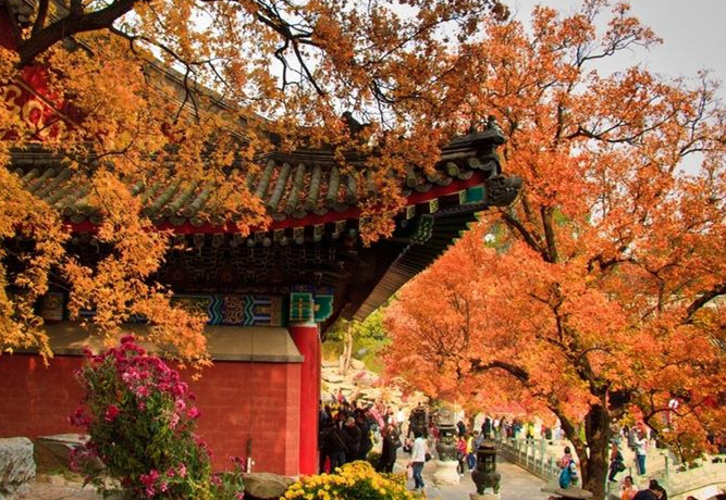 北京王府井的现状,王府井被吐槽