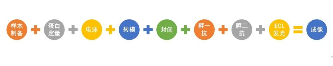 基因位置判断及实验设计题及答案,基因位置的判断及实验设计
