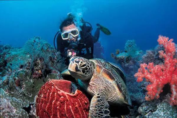 快问快答常识性问题,快问快答常识类100个问题