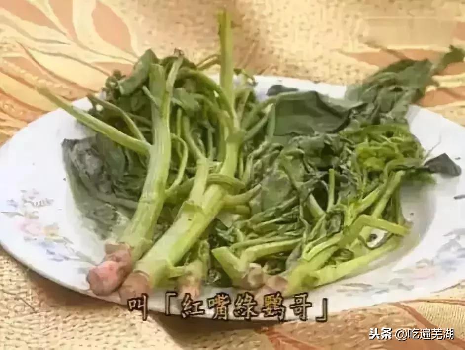 论睁眼说瞎话我只服姜文完整版,论说瞎话