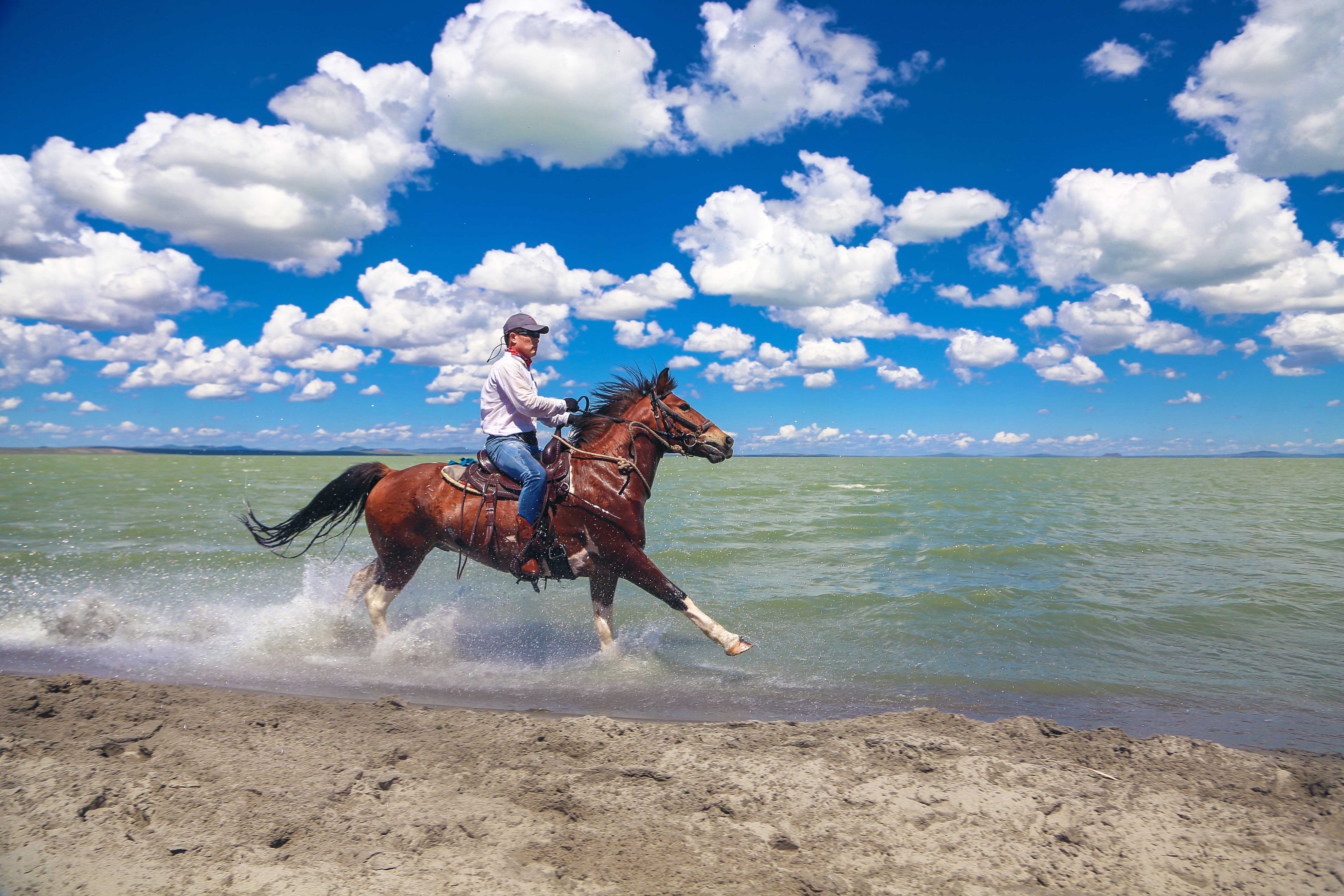 马背之旅旅游攻略,马背之旅旅游视频