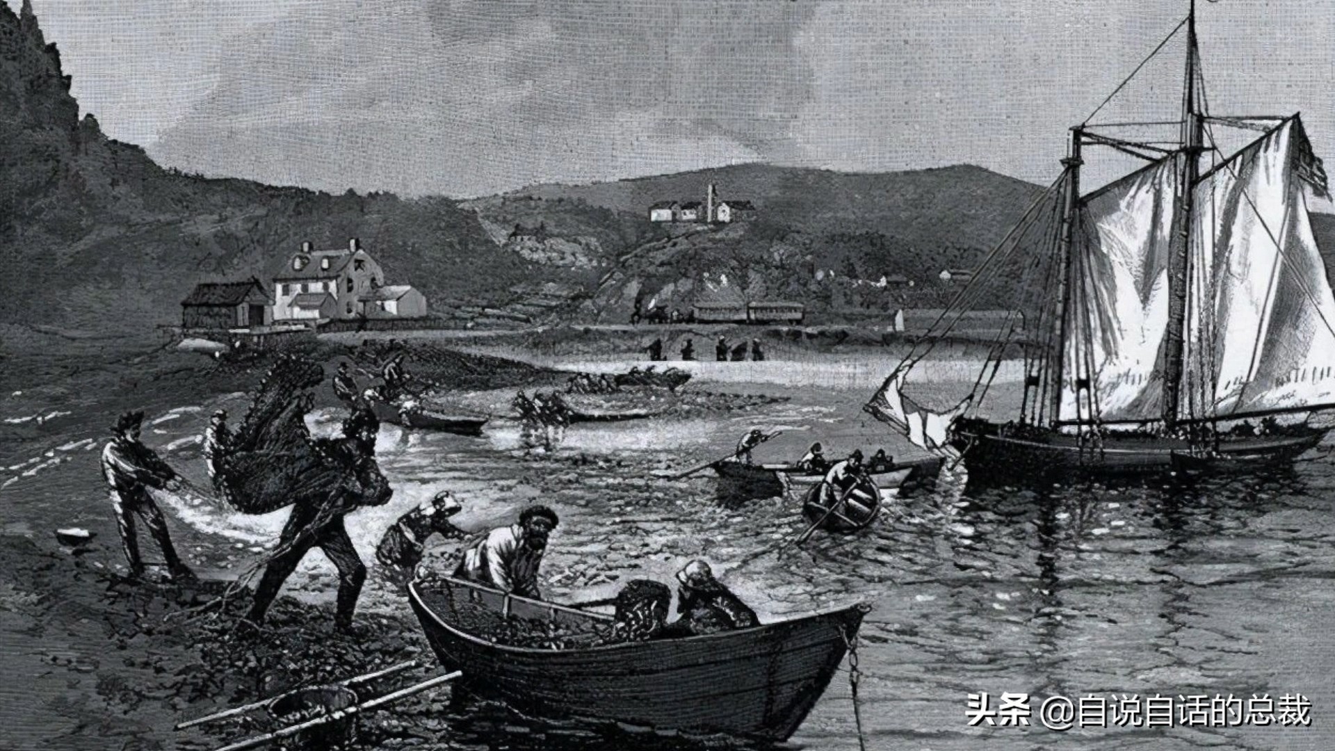 蛏子与小人蚬的区别,贻贝蛤蜊有什么区别