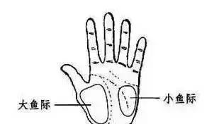 中老年穴位拍打养生操教学视频,帮助睡眠的60分钟穴位拍打操