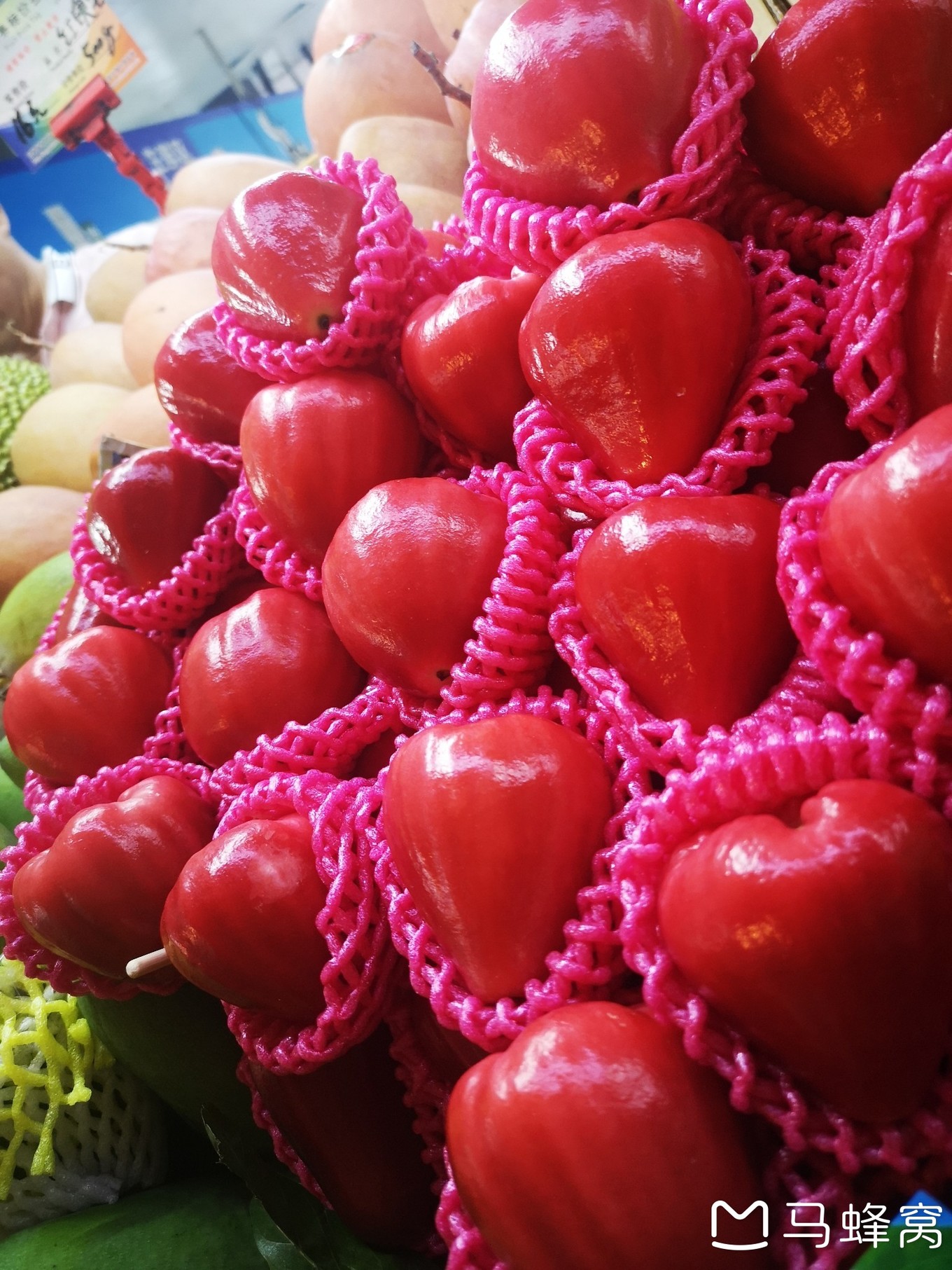 三亚夏天的海和冬天的海,三亚冬天如夏