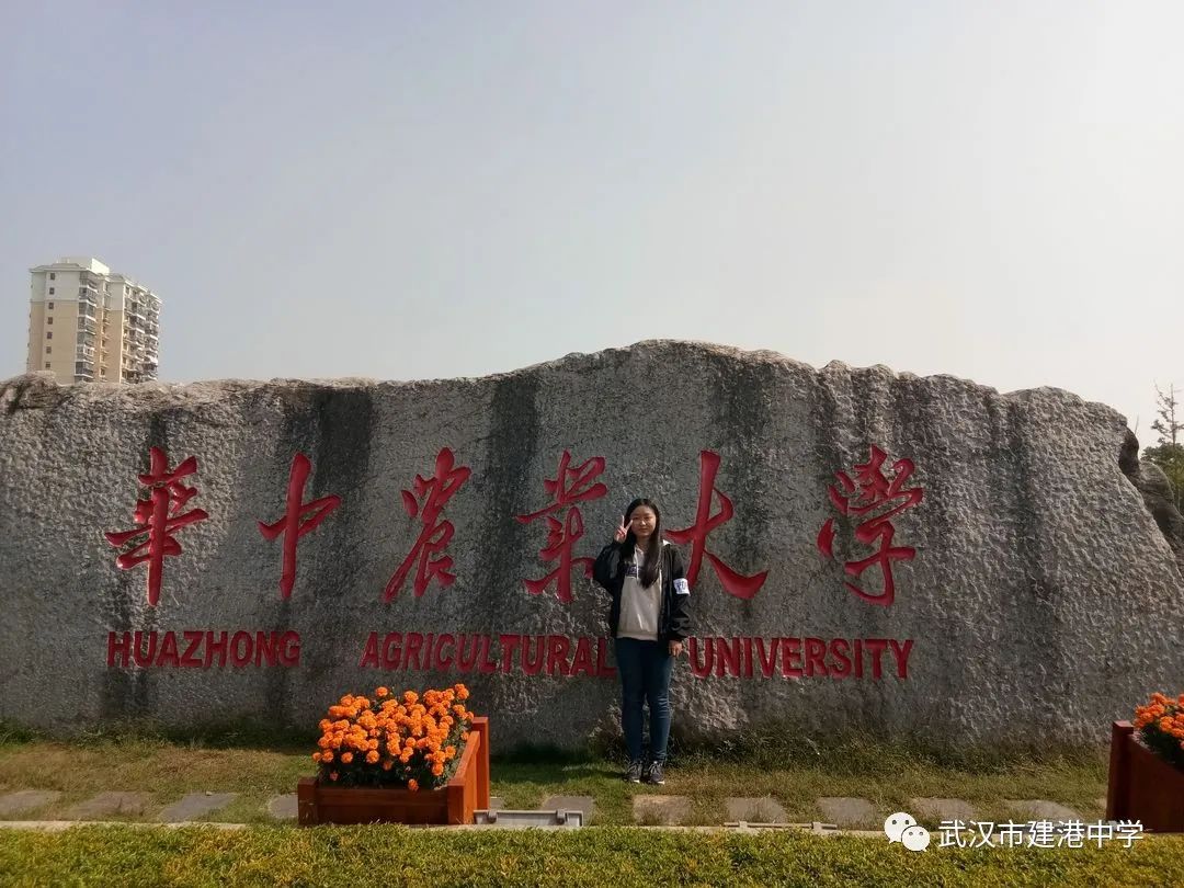 武汉市建港中学图,武汉市建港中学官网