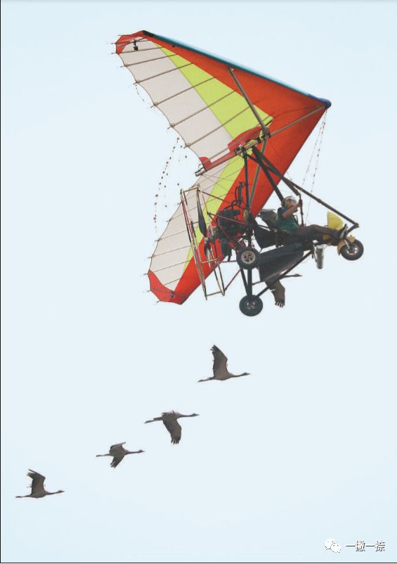 人民日报好看的图片,快看人民日报