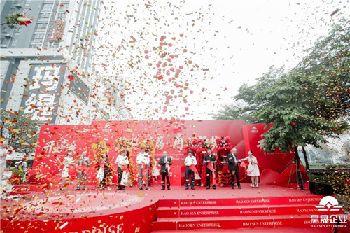 维罗生态砖整装,维罗生态砖品牌优势