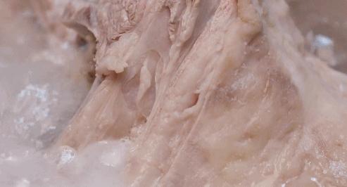 被央视表扬的b站up主,b站up主真实故事