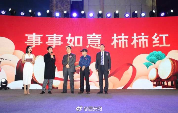 天玺柿子小镇富平柿饼,正宗陕西富平天玺柿饼