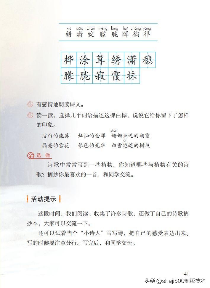 语文教科书四年级下册11课白桦,四年级语文书下册白桦讲解及预习
