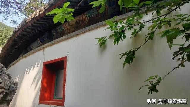 游玩北京香山公园之行,7月的北京香山公园图片