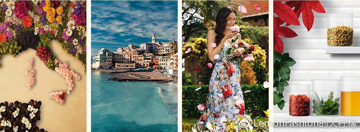 bottegaverde护肤品,bottegaveneta上海佛罗伦萨