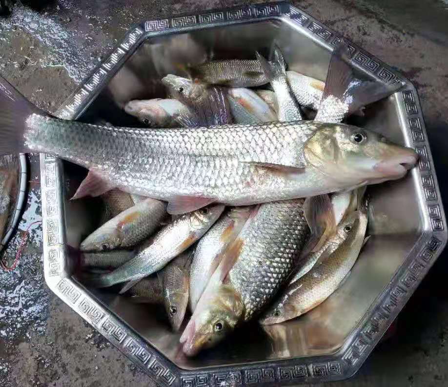 小线组和大线组的区别,小线组好上鱼