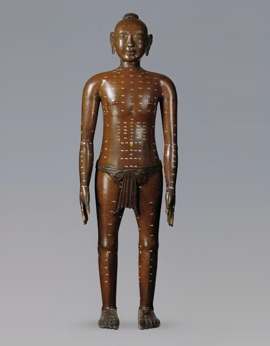 中医络脉的构成,络病学代表方剂