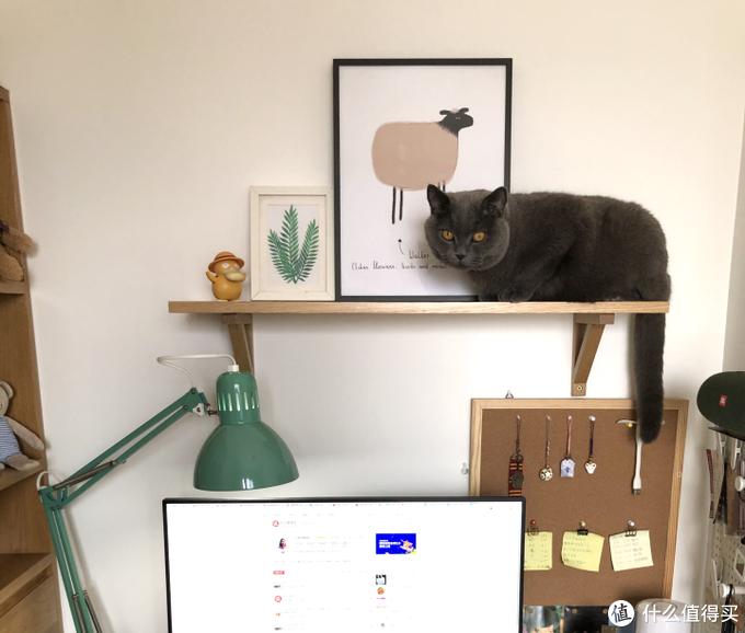 沉浸式桌面大改造,桌面大改造ins风极简