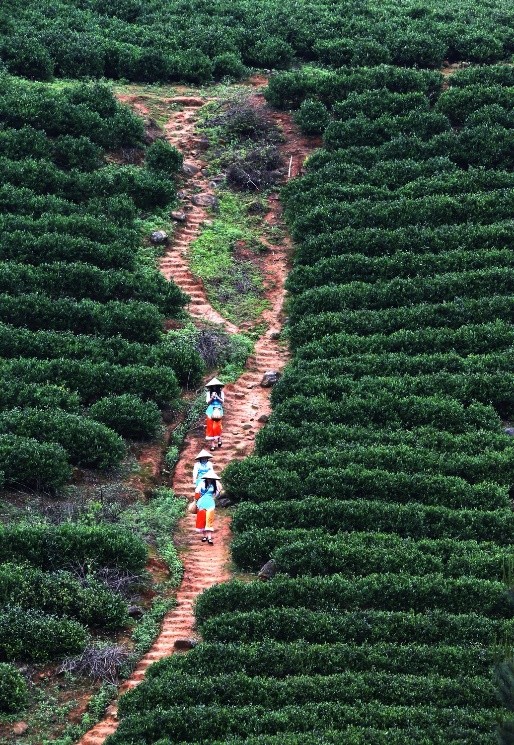 韶关善美直播,善美韶关现场直播活动