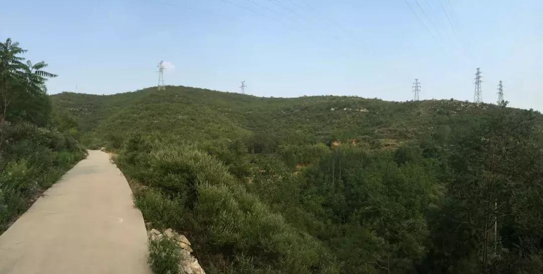 井陉县创业代理,井陉县加盟项目