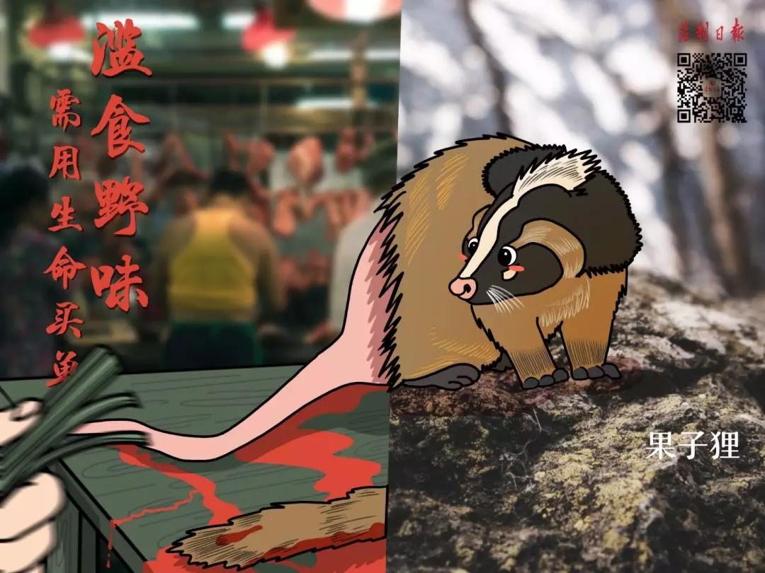 呼吁大家拒绝野味怎么说,拒绝野味该做到的事情