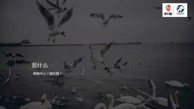 文娱行业地毯扫描:论吃喝玩乐我只服这四个天才!