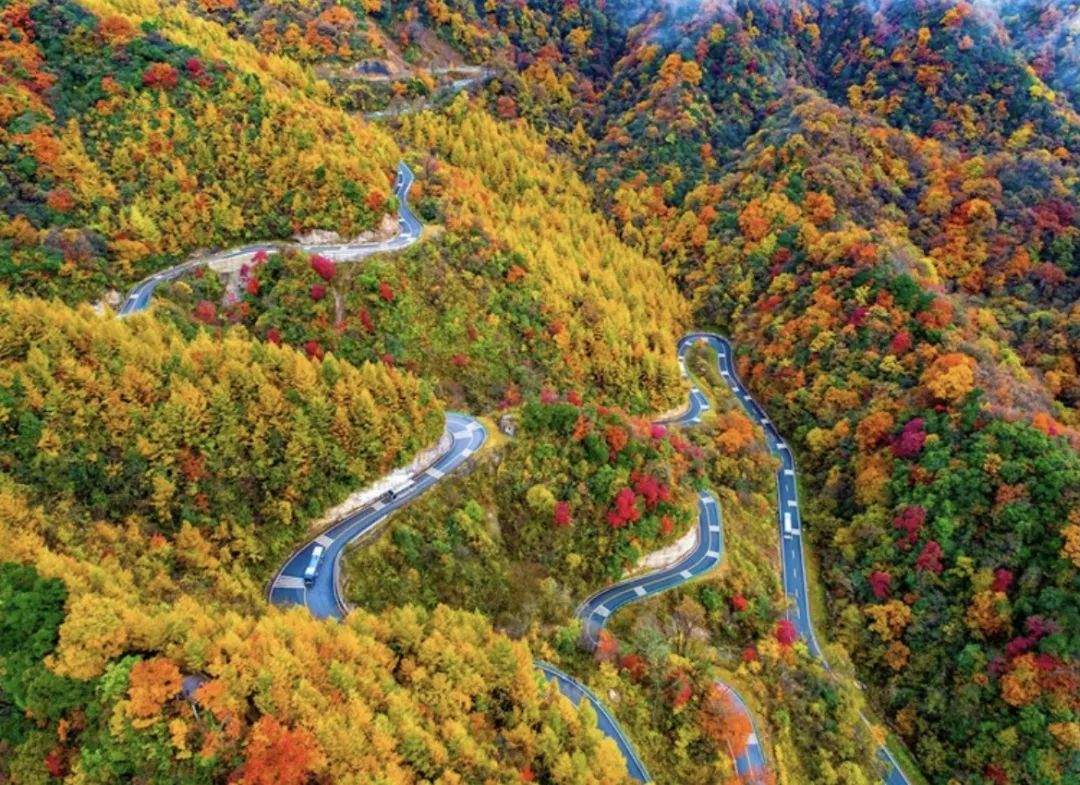 巴中光雾山红叶的最佳时间,红叶谷打卡地