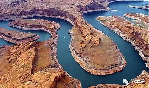 无造影剂冠脉介入治疗,冠脉介入术后护理及并发症