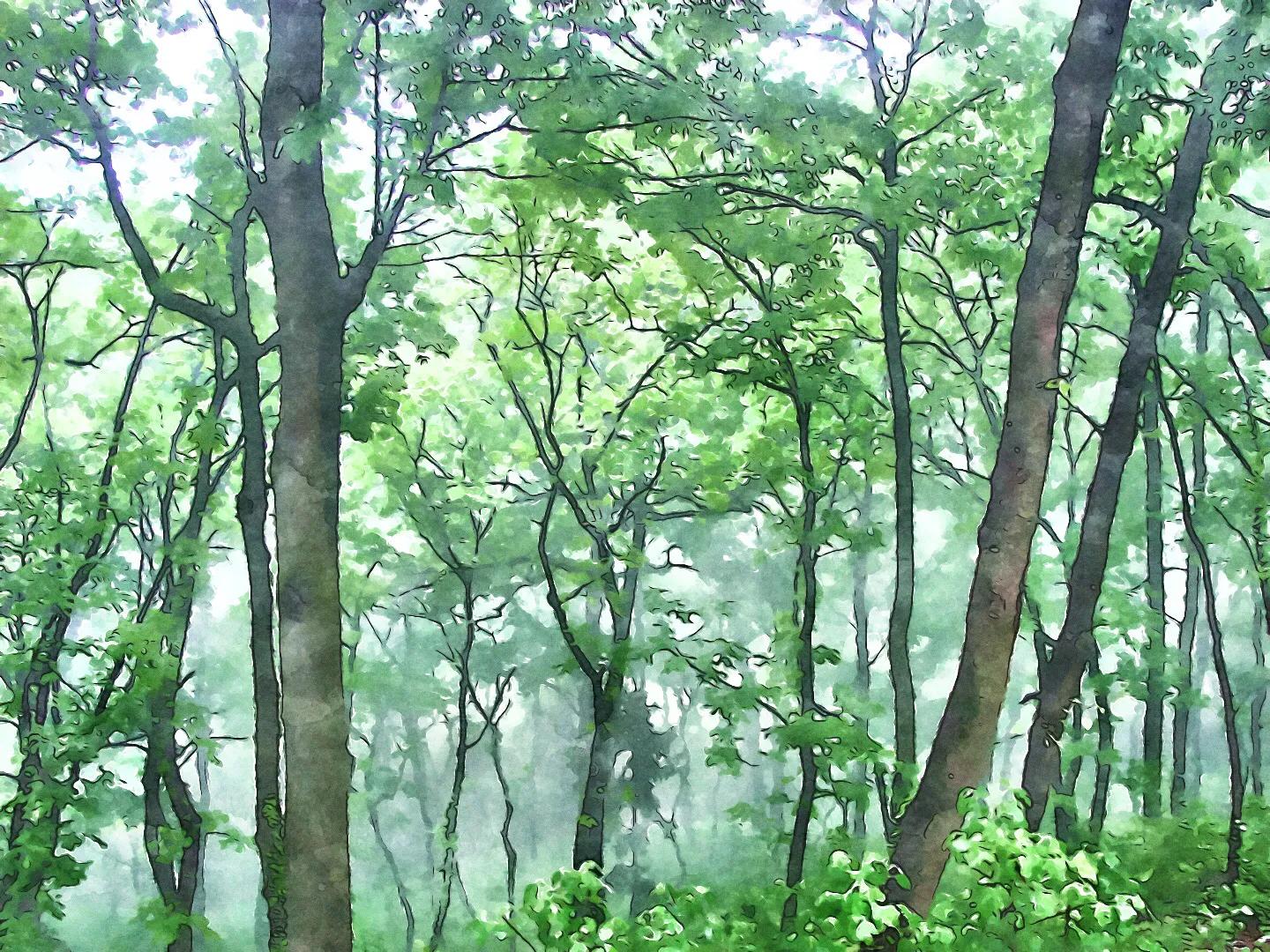 什么软件可以把照片生成手绘,怎么用软件把照片变成画