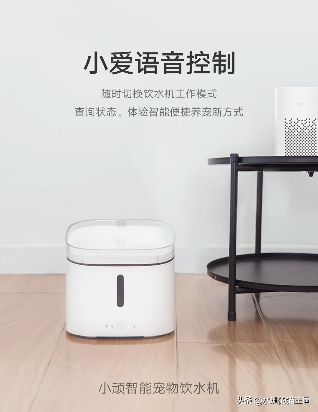 小顽智能宠物饮水机怎么使用,小清泉宠物无线饮水机测评