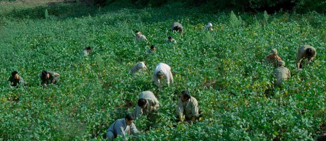 口碑爆棚，荒诞浪漫，吐血安利这部年度票房冠军