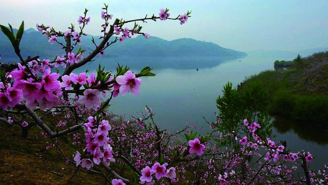 沈阳市新闻12月5日,沈阳新闻15日微博