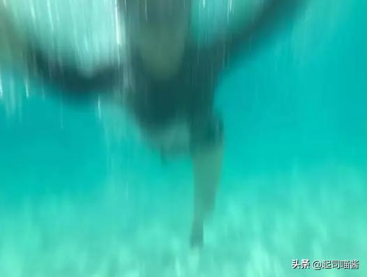 埃及旅行安全吗,埃及旅行后感悟