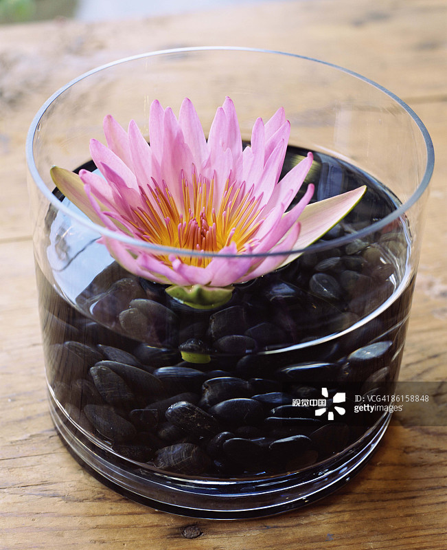 6种美好的花儿，陪你走过整个夏天的各个节气