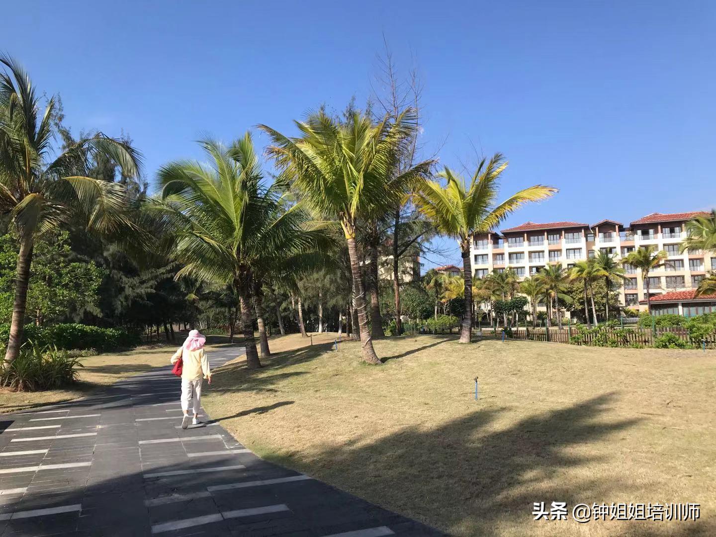 万宁神州半岛去哪租,去万宁神州半岛住哪里