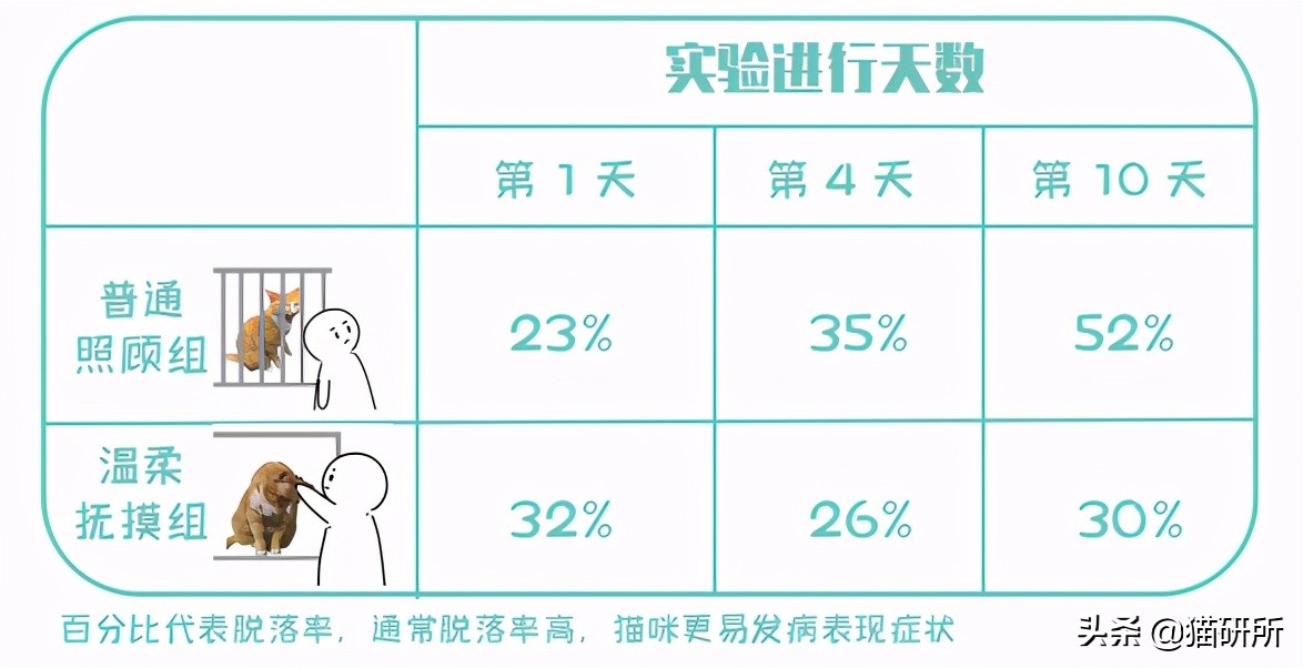 怎样让猫咪远离一个地方,怎么让猫咪远离耳螨