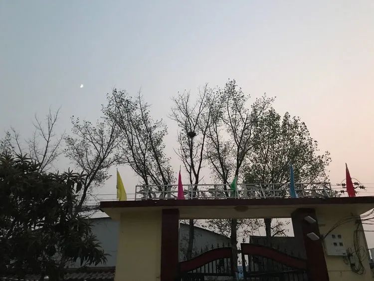 社旗县饶良镇名人,社旗饶良镇名人