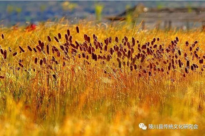 晋城陵川“蒲水”：这里是神仙住的地方