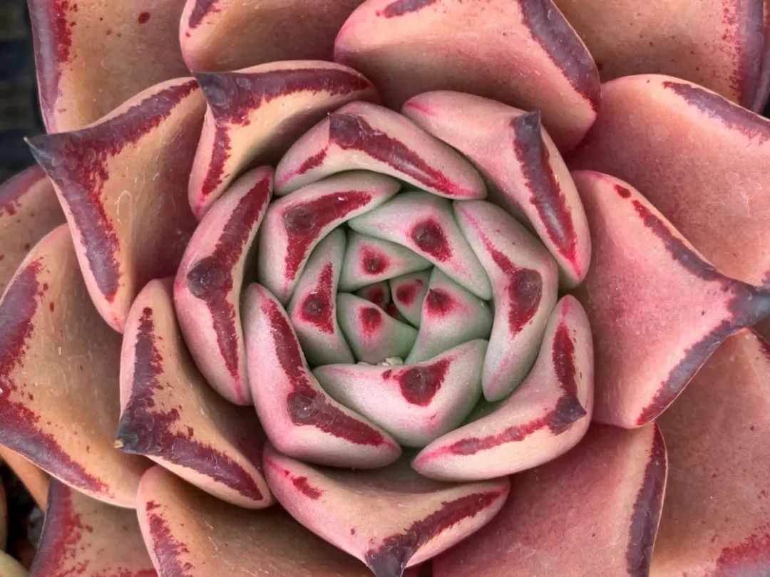 禁足的日子收获颇多,禁足