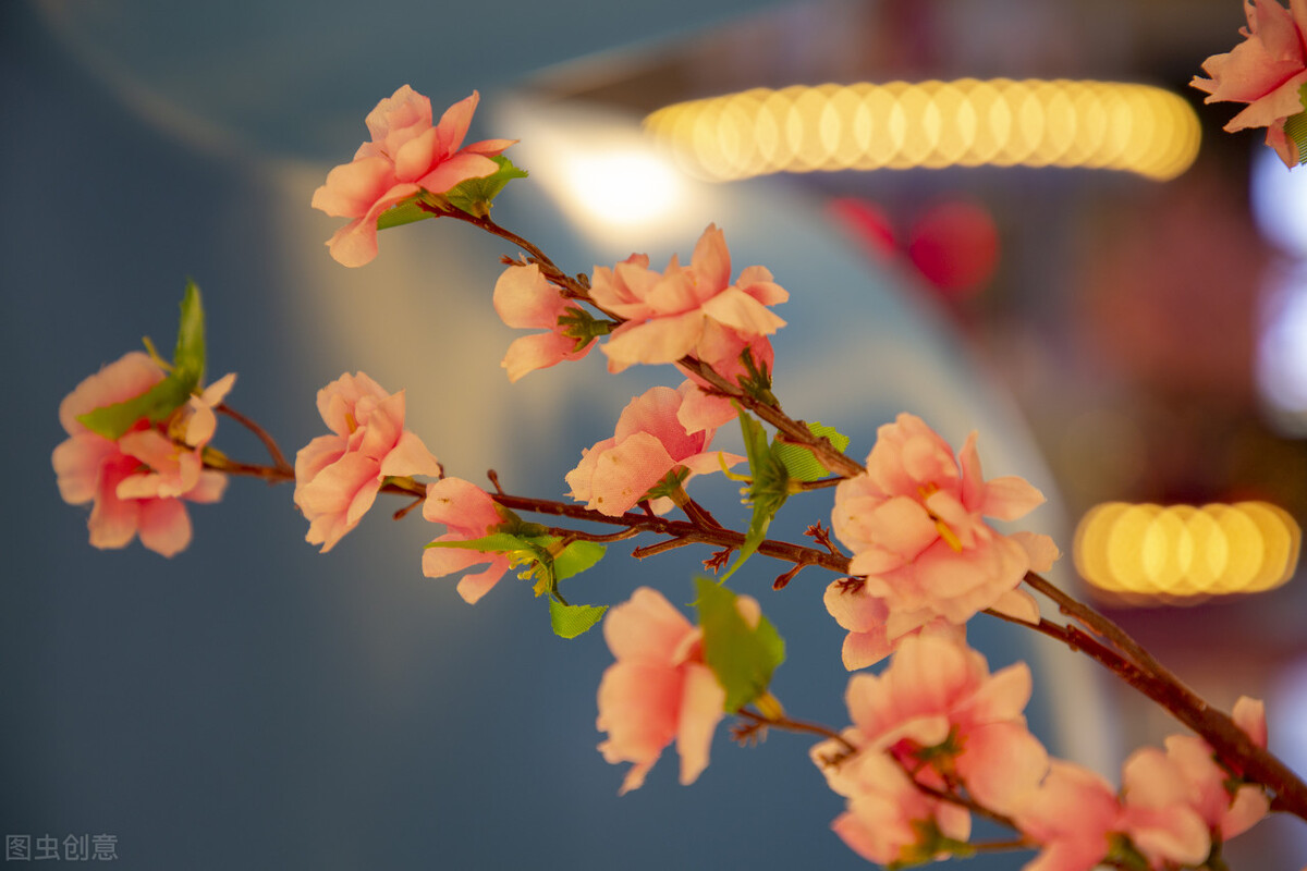 心理学有压抑怎么释放,心理学家经典语录拒绝内耗