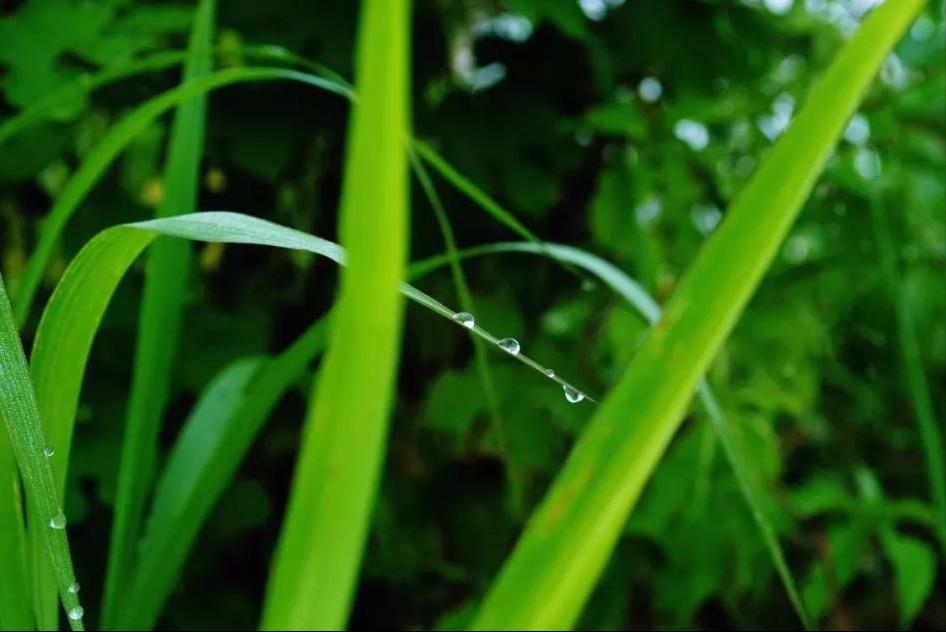 在安哥拉当黑人管理部部长1回忆我在非洲安哥拉的日子（十七）