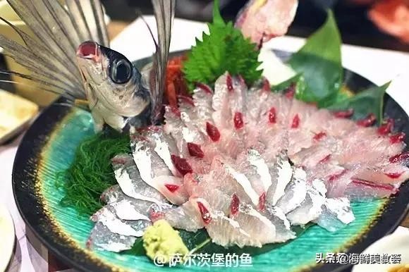 32种经典寿司做法视频,寿司常用的鱼