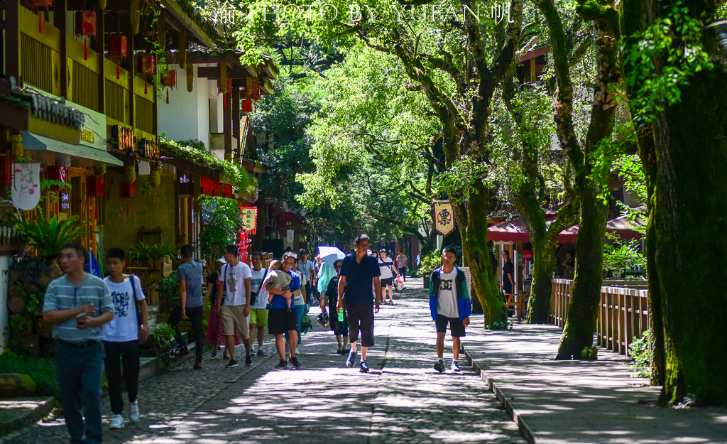 武夷山宋街介绍,武夷山宋街历史