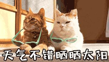 在防晒之前需要做什么,在防晒里面加什么容易过敏