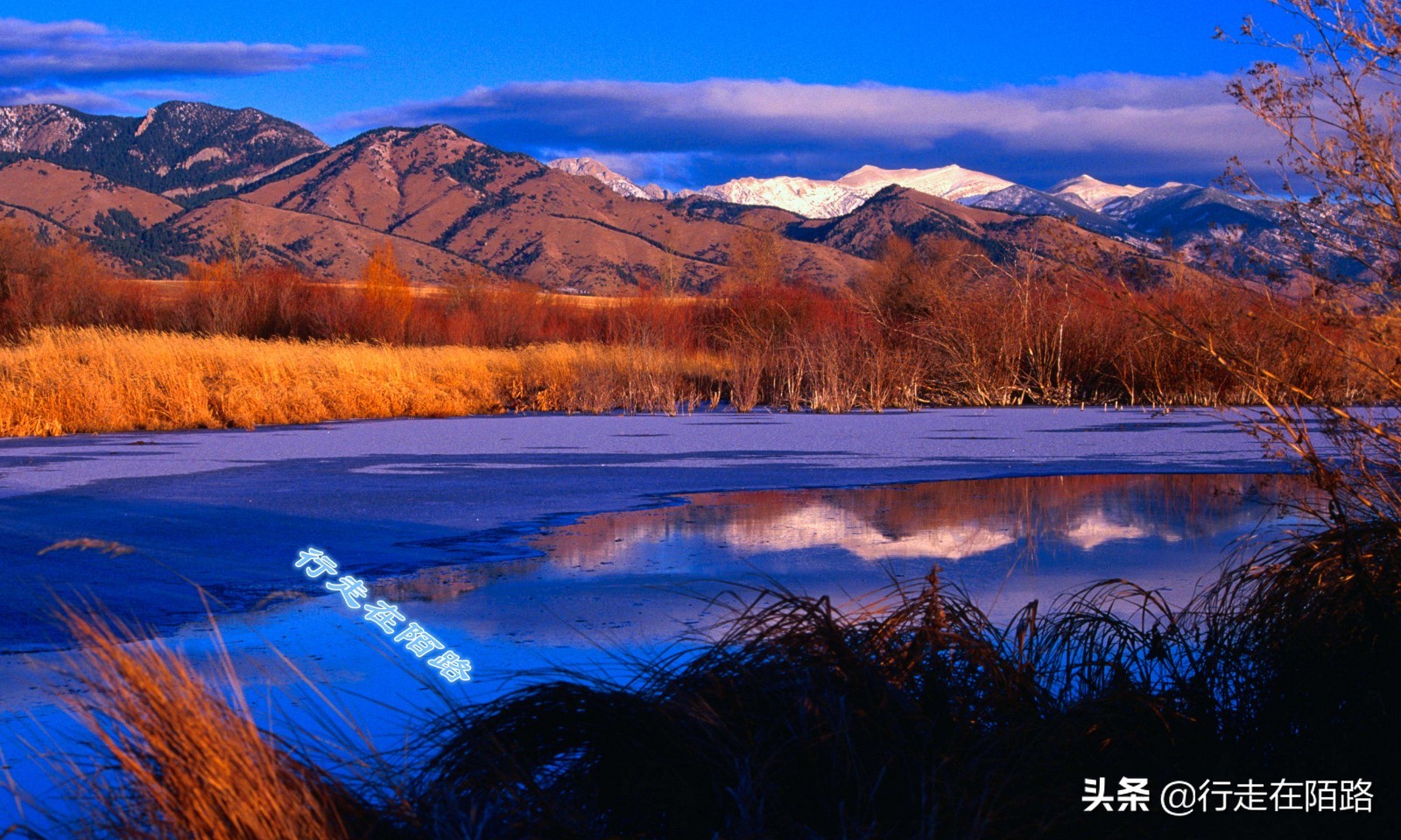 气候变暖引起的冰川变化,冰川大面积变暖