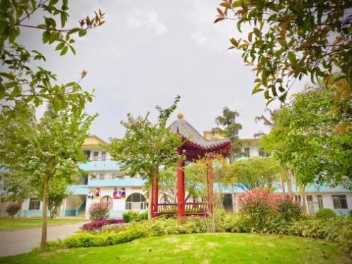 平乐源头二小视频,桂林平乐源头镇二小