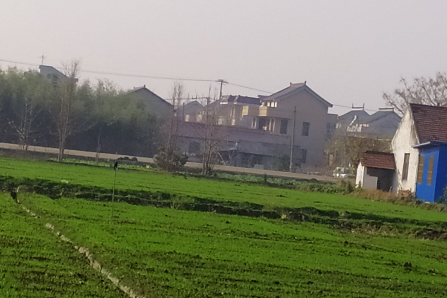 春天的森林气息,春天的馥郁气息