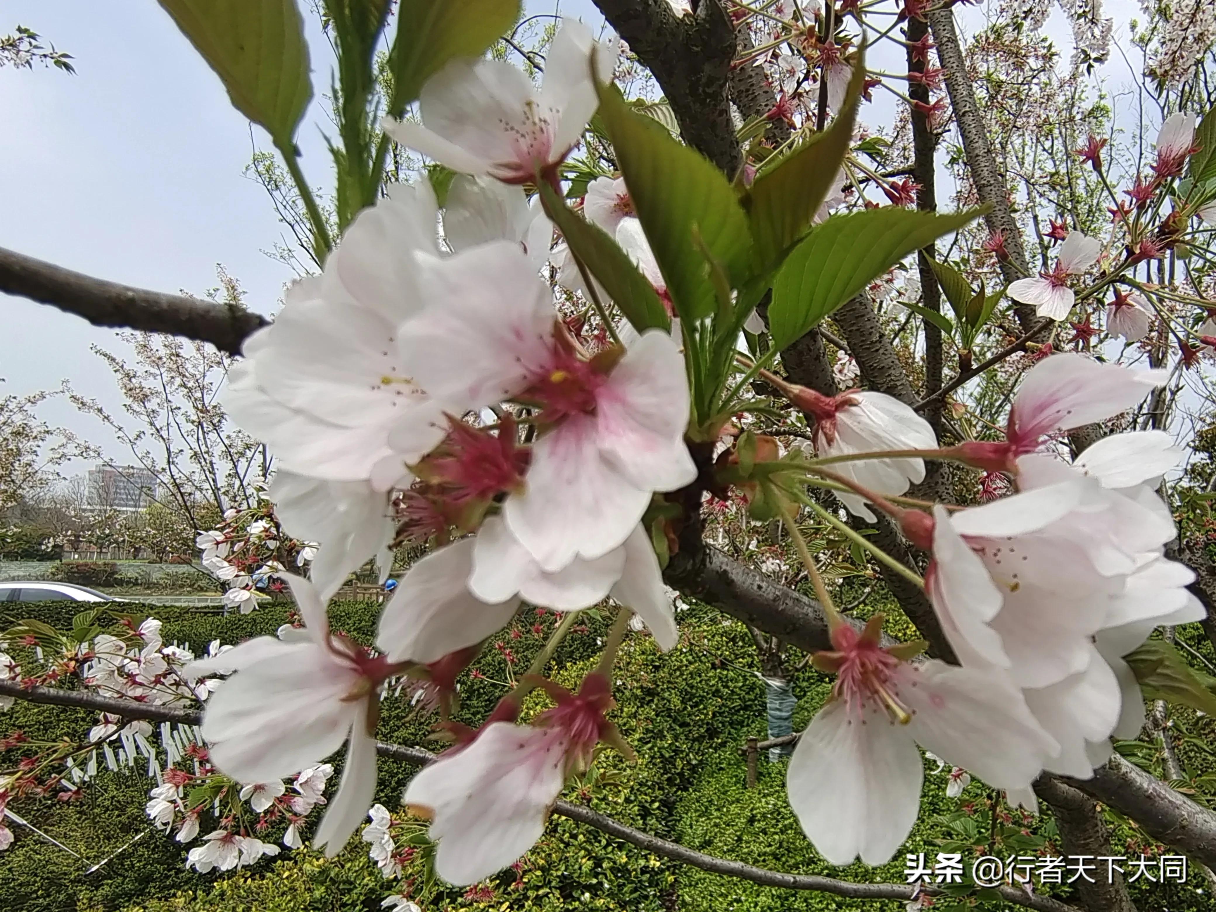 典故大全集,典故大全1000篇