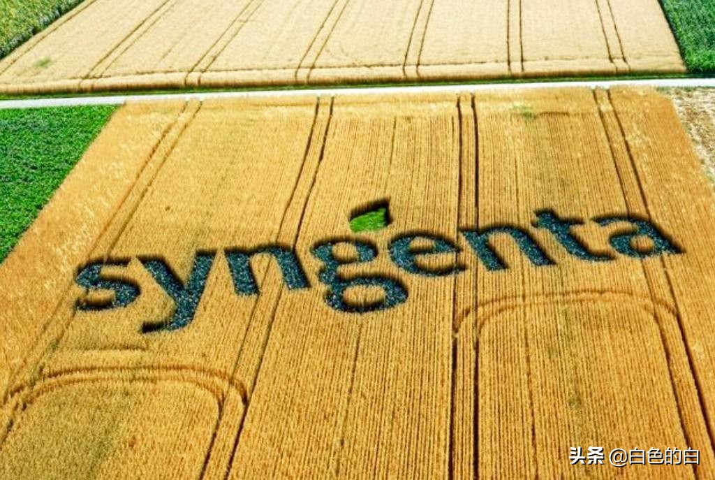 被外国收购的中国企业有哪些,中国被美国收购的十家企业